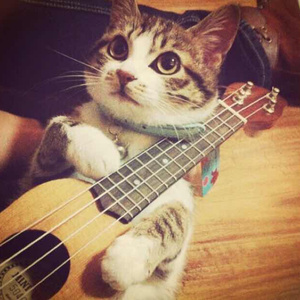 400部骚麦和自慰催眠
